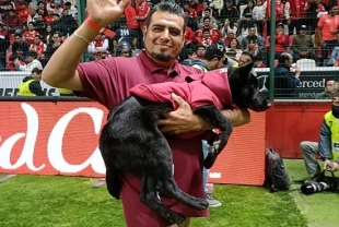 Alrededor de 15 minutos, los ejemplares salieron a la cancha para demostrar todo el amor que pueden darle a una familia